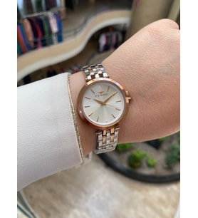 Ferro FL21331A-E Çelik Rose Gold/Metalik Gri 34 mm Kadın Kol Saati