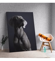 Sevimli Renkli Gözlü Köpek Dekoratif Kanvas Tablo