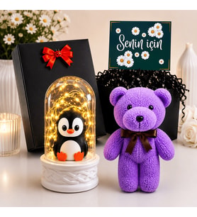 Siyah Hediye Kutusunda Mutlu Penguen Biblolu Led Işıklı Fanus ve Mor Peluş Ayıcık Hediye Seti