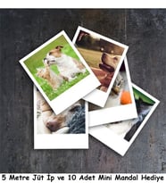 Pola Kart Baskı 48 Adet 7x8, Hediyeli, Full HD Kişiye Özel Fotokart