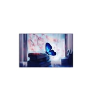 DBSanatevi Kelebeğin Büyüsü Tablo 35 X 35 Cm