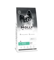 Molly Mini Irk Yetişkin Köpek Maması Somonlu 8 Kg (Beyaz)