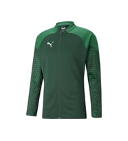 Puma Teamcup Training Jacket Erkek Futbol Antrenman Ceketi 65798305 Yeşil