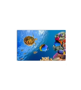 DBSanatevi Kaplumbağa Ve Balıklı Akvaryum Tablo 40 X 60 Cm