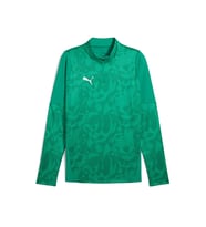 Puma Teamcup Traınıng 1/4 Zıp Top Erkek Futbol Uzun Kollu Antrenman Üstü 65916405 Yeşil