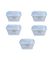 Polytime Şeffaf Kilitli Eşya Gıda Saklama Düzenleme Kabı Kutusu - Dikdörtgen - 3 Litre - 5 Adet