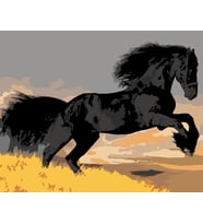 Karayel Sayılarla Boyama Seti 60x75 cm (Tuvale Gerili)