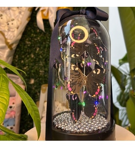 Peri Led Işıklı Siyah Kelebek Fanusu Sevgiliye Özel Hediyelik Işıklı Fanus Yılbaşı Özel