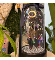 Peri Led Işıklı Siyah Kelebek Fanusu Sevgiliye Özel Hediyelik Işıklı Fanus Yılbaşı Özel