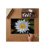 Beyaz Nilüfer Tasarımı 240 parça Ahşap Puzzle Ahşap Kutuda MP00579