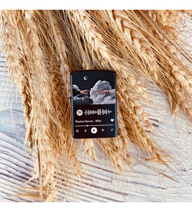 Kişiye Özel Sevgiliye Hediye Spotify Barkodlu Benzinli Zippo Çakmak
