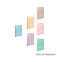 GIPTA PASTELS A4 TEL DİKİŞLİ PP KAPAK 100 YP KARELİ DEFTER