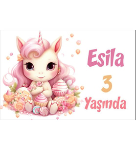 Pembe Unicorn Temalı Doğum Günü Afişi -2 35X50 cm