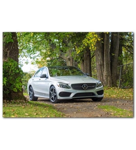 Cakatablo  Orman Patikası ve Gri Mercedes MDF Tablo