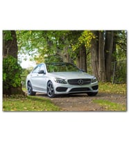 Cakatablo  Orman Patikası ve Gri Mercedes MDF Tablo