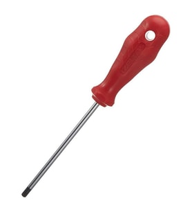 İzeltaş 4776180010 Tornavida Delikli Torx TR10