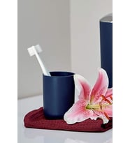 Lacivert, Plastik Diş Fırçalık – 7,5×10 cm, Macunluk, Banyo Düzenleyici - Brasil Model