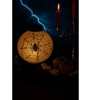 Halloween Cadılar Bayramı Japon Feneri Pilli 20 cm Beyaz Örümcek Desenli Korku Aksesuarı