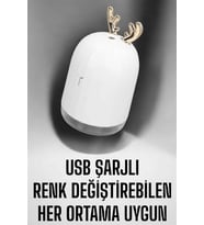 Aromaterapi Hava Temizleyici Buhar Makinesi Taşınabilir Şarjlı - Lisinya