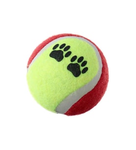 Tenis Topu Üçlü Renkli Desenli Kedi Köpek Oyuncağı