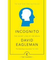 Incognito: The Secret Lives Of The Brain