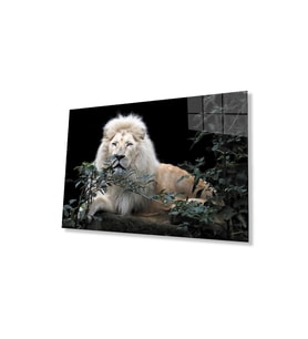 Aslan Cam Tablo 4mm Dayanıklı Temperli Cam (Çok Renkli)