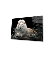 Aslan Cam Tablo 4mm Dayanıklı Temperli Cam (Çok Renkli)