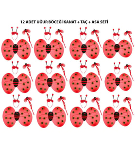 Uğur Böceği Kostüm Seti - Kanat, Taç, Asa 12 Adet