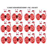 Uğur Böceği Kostüm Seti - Kanat, Taç, Asa 12 Adet