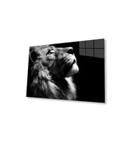 Aslan Cam Tablo 4mm Dayanıklı Temperli Cam (Çok Renkli)