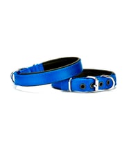 Doggie Softlu Köpek Boyun Tasması 1,5 cm x 35 cm Mavi