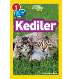 Kids - Kediler