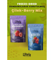 2’li Dondurularak Kurutulmuş Kuru Meyve - Sağlıklı Atıştırmalık - Çilek Ve Berry Mix Kurusu Freeze Dried