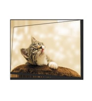 Kedi 3 Cam Tablo