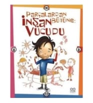 Parçalardan Bütüne: İnsan Vücudu