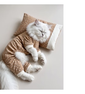 Latte Sprinkles Kedi Uyku Seti Penye Kedi Tulum ve Mini Yastık Takımı Pamuklu Tüy Dökülmesini Azaltır