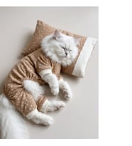 Latte Sprinkles Kedi Uyku Seti Penye Kedi Tulum ve Mini Yastık Takımı Pamuklu Tüy Dökülmesini Azaltır