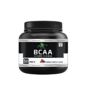 Torq Nutrition BCAA 2-1-1 500 Gr