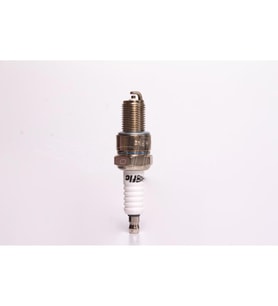 Bujı D8tc Marshall