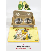 Pati Mama Kabı 2 Kaseli Kedi Köpek Suluk Mamalık Ve Paspas Seti ve Kedi Nanesi Hediye