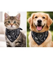 TİNEKE EVCİL HAYVAN KÖPEK BOYUN TASMASI YAKALIK ÖNLÜK FULAR NO SİYAH (KÜÇÜK 330)