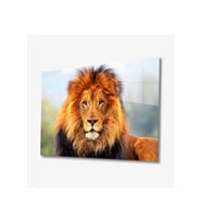 Miyrem Glasses Collection -A1^#  Aslan Hayvan Cam Tablo (Çok Renkli)