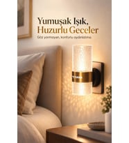 Torima Gece Lambası 3 Renk Modlu 5 Seviye Akıllı Sensörlü Priz Tipi Lamba LW42 Şeffaf