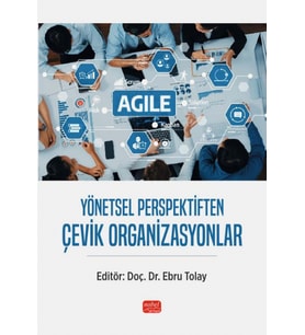 Yönetsel Perspektiften Çevik Organizasyonlar