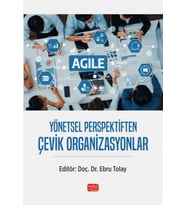 Yönetsel Perspektiften Çevik Organizasyonlar