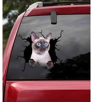 Siyam Kedisi Araba Sticker Yapıştırması 17CM