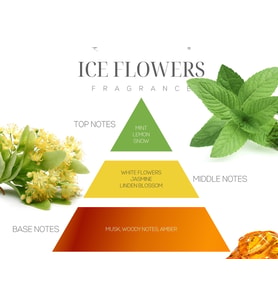 Marin 100 ml Ekru Deniz Midyesi Seramik Taşlı Ice Flowers Oda Kokusu