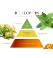 Marin 100 ml Ekru Deniz Midyesi Seramik Taşlı Ice Flowers Oda Kokusu