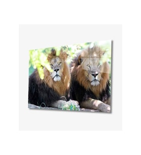 Miyrem Glasses Collection -A1^#  Aslan Hayvan Cam Tablo (Çok Renkli)