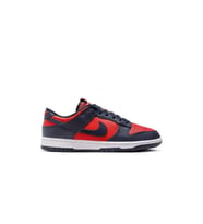 Dunk Low Retro SE Erkek Sneaker Ayakkabı